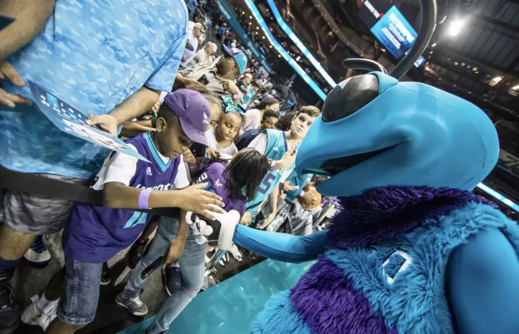 Charlotte Hornets on X: Happy #NBAJerseyDay, Buzz City! 🔥 Which purple  & teal threads are your favorite? #AllFly  / X