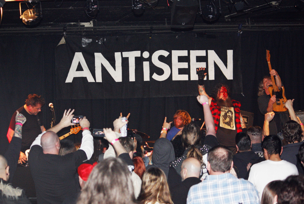 Antiseen_2013_dcoston1