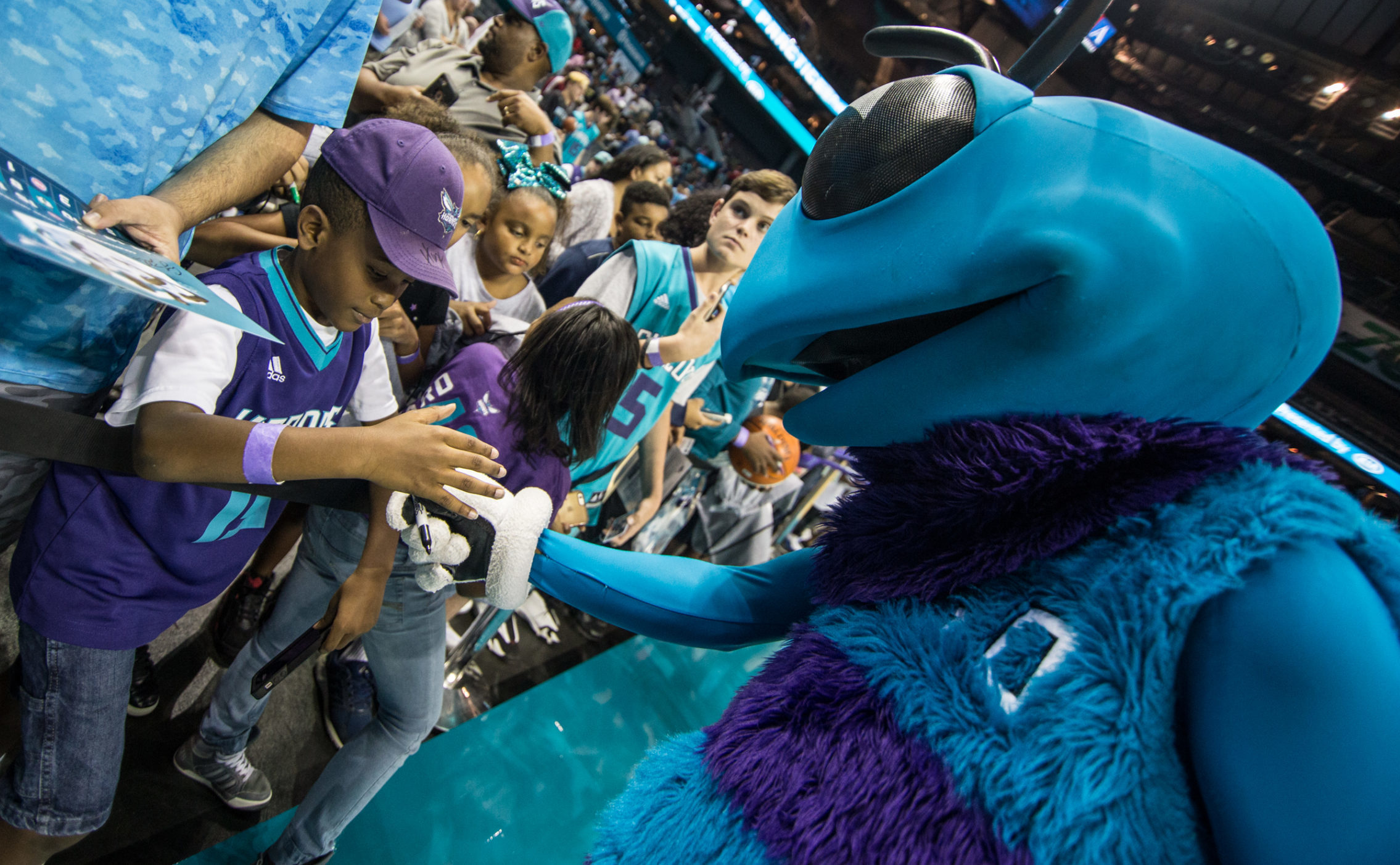 Hornets announce season theme nights and giveaways – WSOC TV
